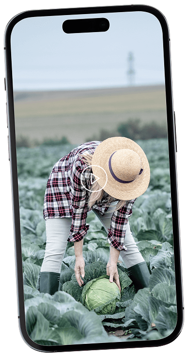 Telefon mobil - Redare Video