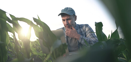 Agricultura